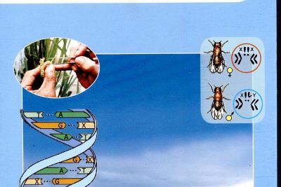 KHBD SINH 9 – TUẦN I, TIẾT 1 (22-23)